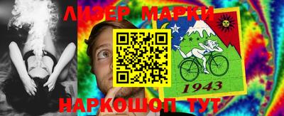 шишки Бузулук