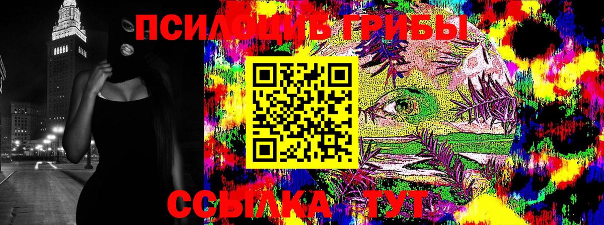 Галлюциногенные грибы GOLDEN TEACHER  Галлюциногенные грибы Psilocybine cubensis  Кинешма  Вход с VPN 